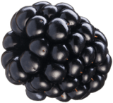Blackberry accent graphic
