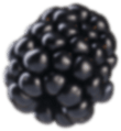 Blackberry accent graphic
