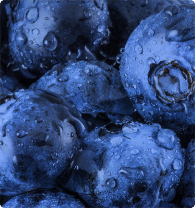 Blueberry graphic image