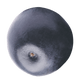 Blueberry accent graphic